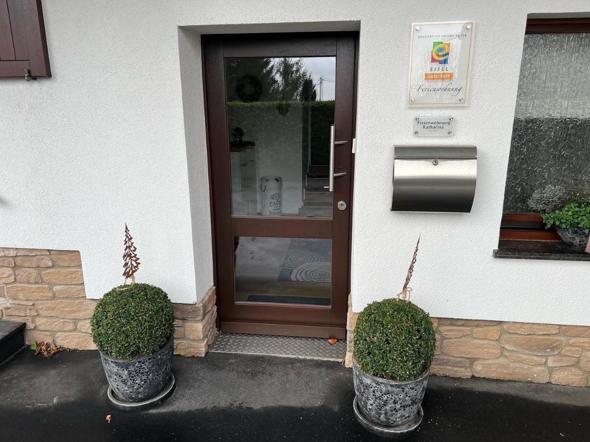 Ferienwohnung Katharina 4 Sterne Laut Dtv Wallbox 11Kw Nideggen Buitenkant foto